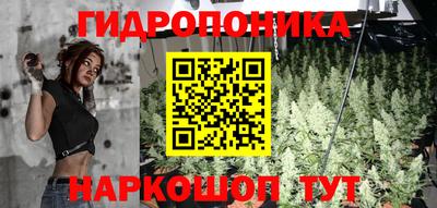 твердый Котовск